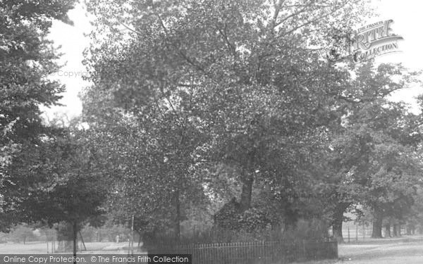 Photo of Tooting Bec, Common 1898