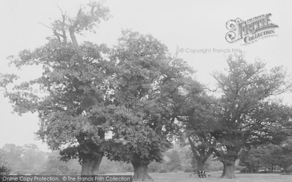 Photo of Tooting Bec, Common 1898