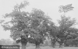 Tooting Bec, Common 1898, Tooting Bec Common