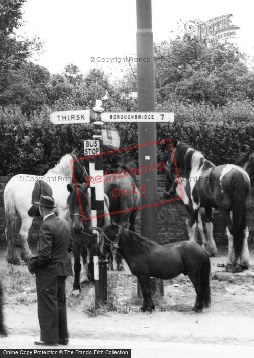 Photo of Topcliffe, Annual Gypsy Fair, Horses And Pony c.1960