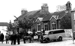 Gypsy Fair Horses By The School c.1960, Topcliffe