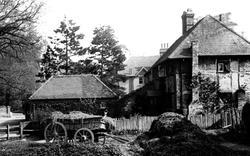 A Farm 1906, Torquay