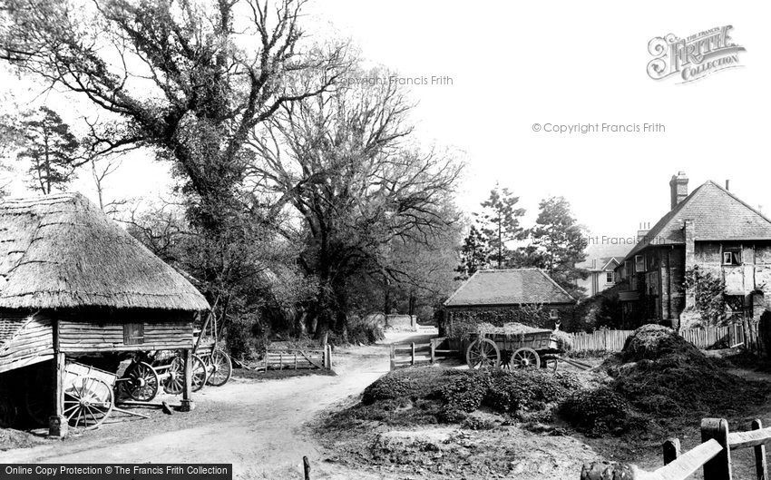 Torquay, A Farmyard 1906