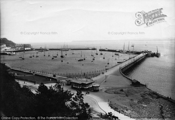 Photo of Torquay, Harbour 1896