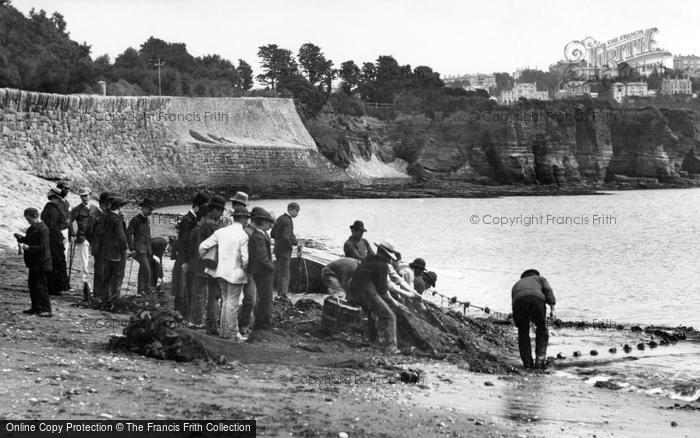 Photo of Torquay, Hauling In The Nets 1888