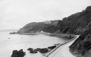 Meadfoot Road And The Hydro 1906, Torquay