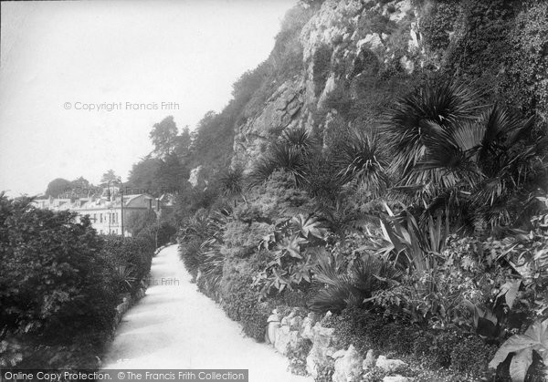 Photo of Torquay, Terrace Walk 1901
