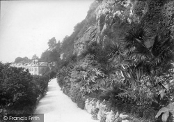 Terrace Walk 1901, Torquay