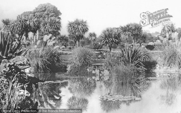 Photo of Torquay, The Lily Pond, Abbey Gardens c.1950