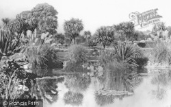 The Lily Pond, Abbey Gardens c.1950, Torquay