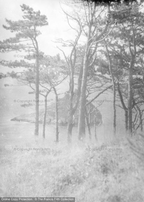 Photo of Torquay, The Pines And Thatcher Rock c.1939