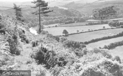 Torrington, View From Castle Walks c.1955, Great Torrington