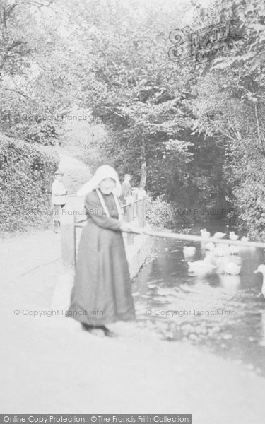 Photo of Totnes, Old Lady By The Duck Pond, Brooking c.1890