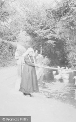 Old Lady By The Duck Pond, Brooking c.1890, Totnes