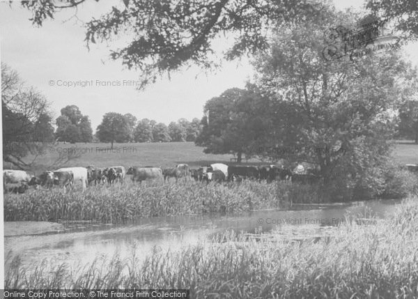 Photo of Towcester, The River Tove c.1955