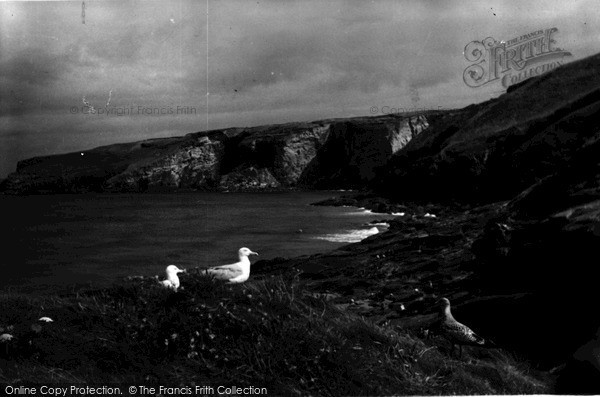 Photo of Trebarwith, c.1955