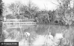 The Pond, Bedwellty Park c.1955, Tredegar