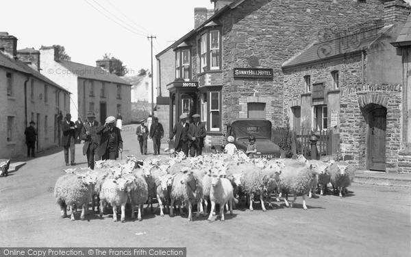 Photo of Tregaron, Sheep In The Village On Market Day 1933