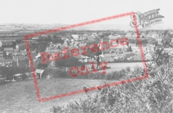 View From Penpica Hill c.1955, Tregaron