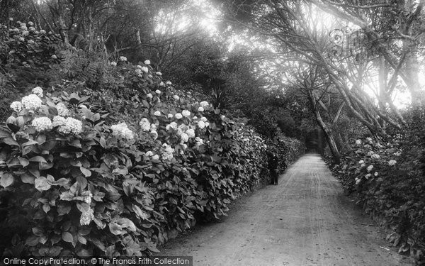 Photo of Tresco, Abbey Drive 1892