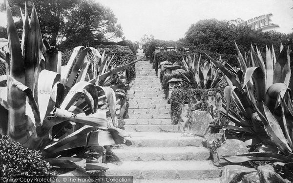 Photo of Tresco, Abbey Gardens, Aloes Steps 1891
