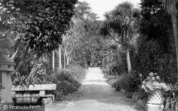 Abbey Gardens c.1955, Tresco