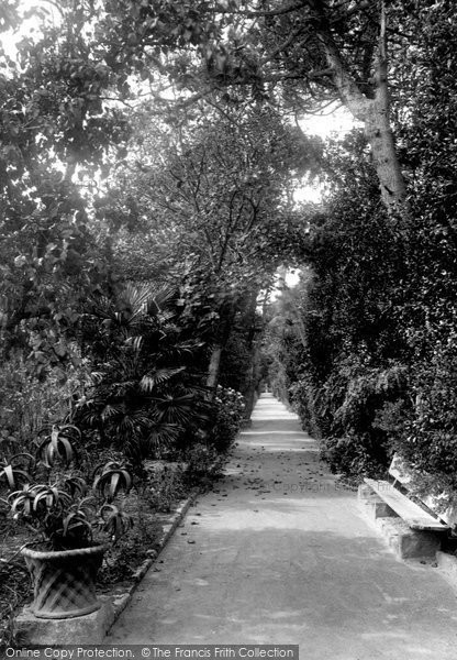 Photo of Tresco, Abbey Gardens, The Long Walk 1892