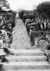 Abbey Gardens, The Steps Walk 1891, Tresco