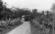 The Abbey Approach 1891, Tresco