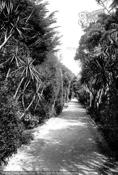 Photo of Tresco, The Abbey Gardens, The Long Walk 1891