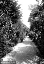 The Abbey Gardens, The Long Walk 1891, Tresco