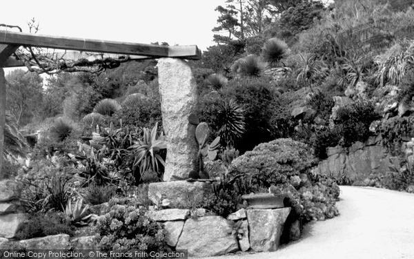 Photo of Tresco, The Abbey Gardens, Tropical Rockery c.1955