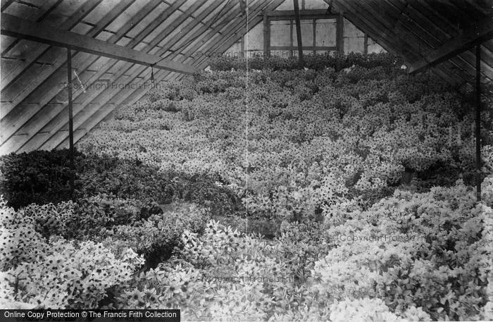 Photo of Tresco, Tying House c.1890