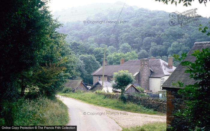 Photo of Triscombe, View Of Wills Neck 1998