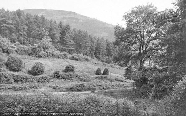 Photo of Triscombe, Wills Neck 1929