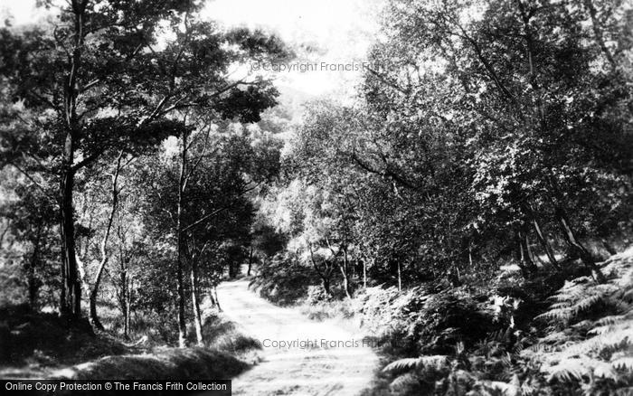 Photo of Trossachs, 'where Twines The Path' c.1930