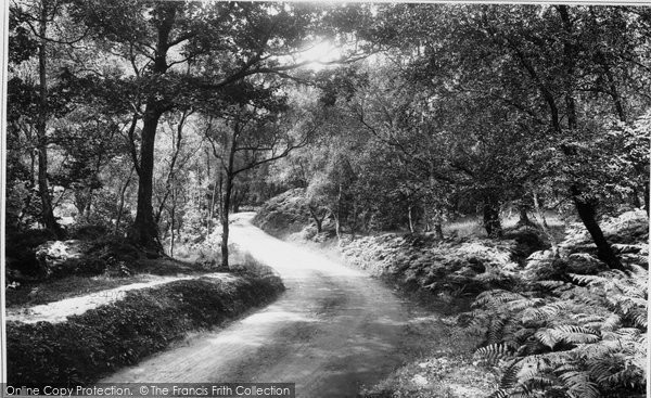 Photo of Trossachs, 'where Twines The Path In Shadows Hid' 1899