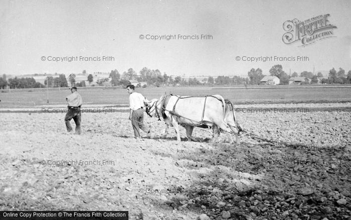 Photo of Troyes, Ploughing c.1938