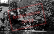 Boscawen Park c.1955, Truro
