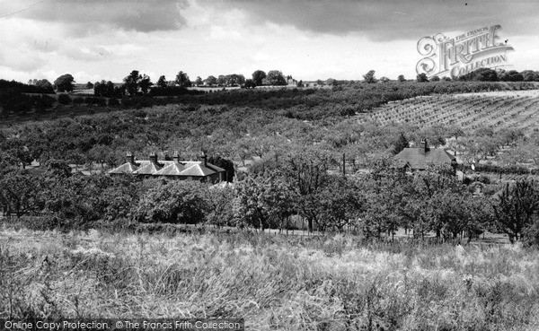 Photo of Tunstall, Orchards c.1960