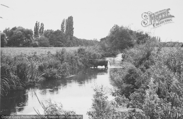 Photo of Twyford, By The River Loddon c.1955