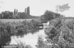 By The River Loddon c.1955, Twyford