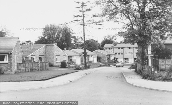 Photo of Twyford, Pine Grove c.1969