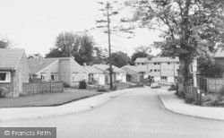 Pine Grove c.1969, Twyford