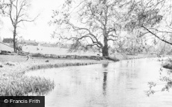 Water Meadows c.1965, Twyford