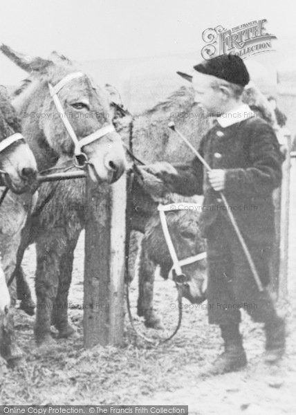 Photo of Tynemouth, Boy And Donkey c.1910
