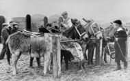 Donkeys On The Beach c.1910, Tynemouth