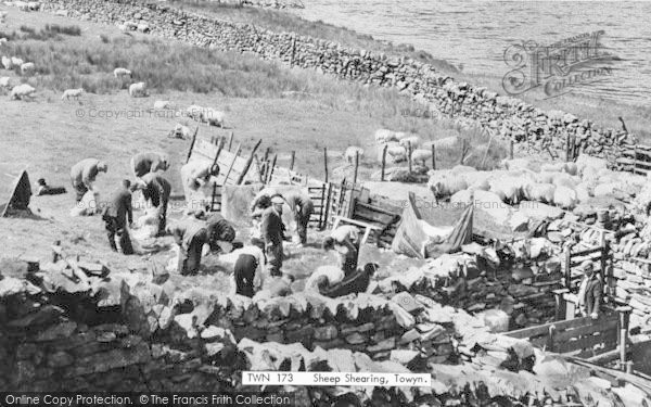 Photo of Tywyn, Sheep Shearing c.1965