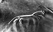 The White Horse c.1954, Uffington