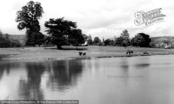 Photo of Uley, Stouts Hill Pond c.1960